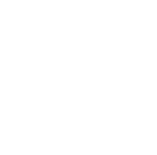 Logo Havana Club footer