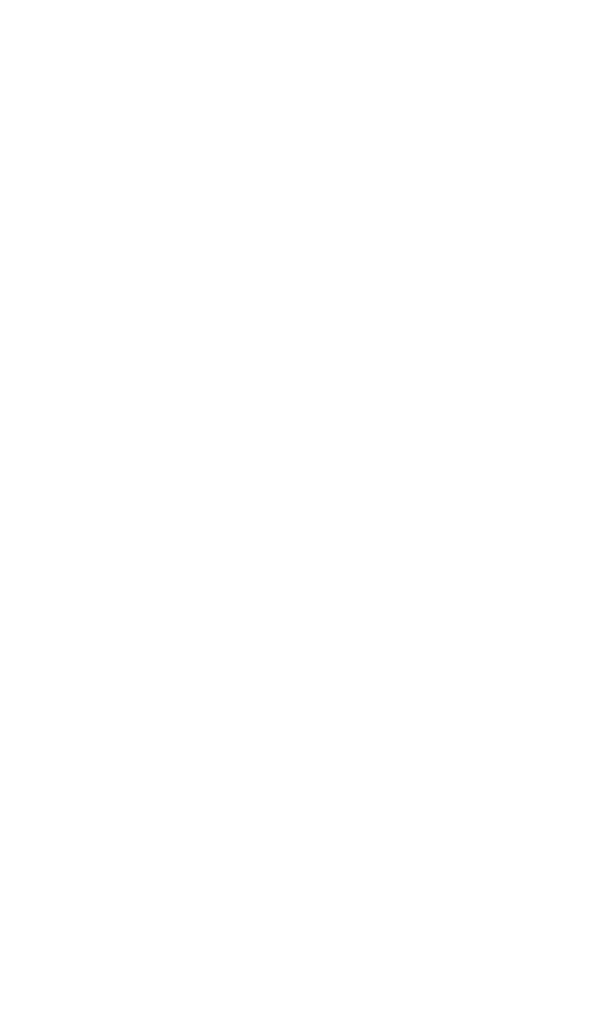 Elemento decorativo fijo