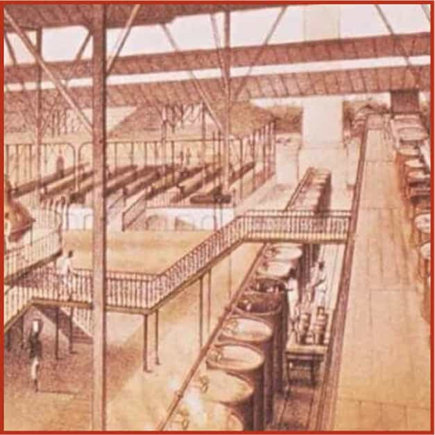 Nuestra <span>Historia</span>