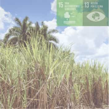 ECONOMÍA <span>CIRCULAR</span> - 3